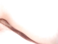 일광욕에서 정원