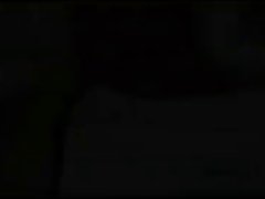 털이 열 3