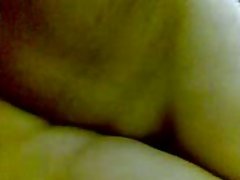 바탕가스 주 curiosity 바탕가스 주 curiosity