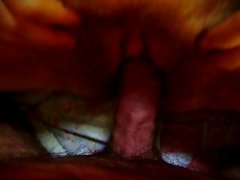 데 dick 젖