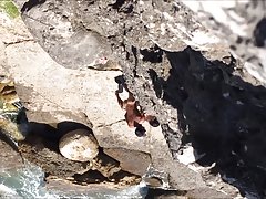 개발 apanhados 2
