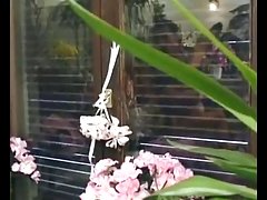 뜨거운 털이 성숙한 망에서는 꽃집 뜨거운 털이 성숙한 망에서는 꽃집