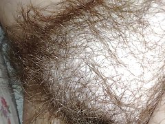 더 나는 소녀용의 큰 Bush. 더 나는 소녀용의 큰 Bush.