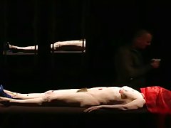 털이 여벗에 있는 극장