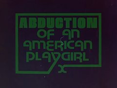 미국의 playgirl