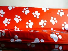 아시아 아마추어