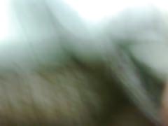 Furry Bush 에는 쉬트상의 것에 한한다)