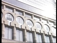 텍사스 오일