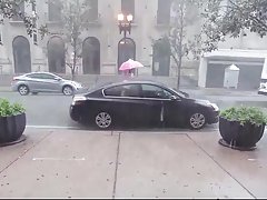 Grab oinker 및 boink 그녀