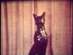 빈티지:성인의 영혼을 늙은 Threesome