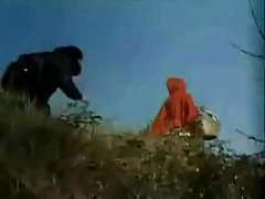 에 littel red chaperone 에 littel red chaperone