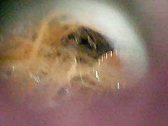 스파이 ted 털이 음부