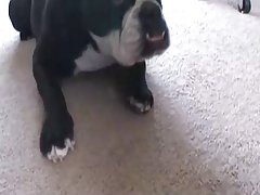 란제리 금발 큰 가슴 다 걸린된 남자