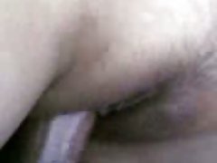 가나로 키티입니다.