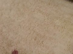 씬 큐티 갈구 수 탉