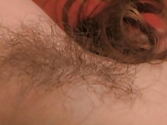 털이 Bush 및 구덩