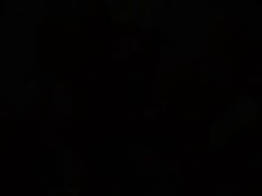 뜨거운 독일어 twins