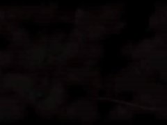 brasil.avezdela.sce3