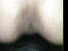분출 bi-Bi-si