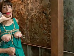 갈색 머리 묶어 2 조롱 하 고 vibed 1 갈색 머리 묶어 2 조롱 하 고 vibed 1